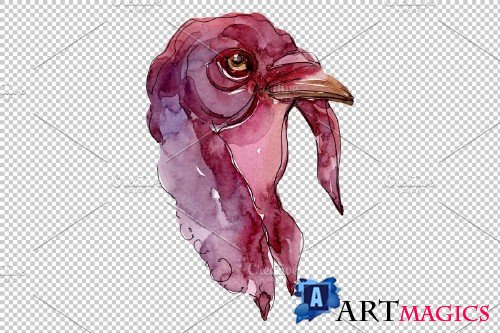 Farm animals: turkey head Watercolor - 3734658