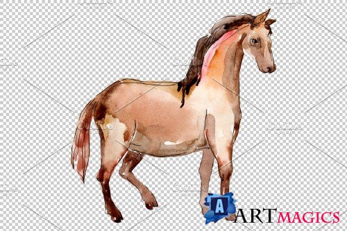 Farm animals:Horse,foal Watercolor - 373221