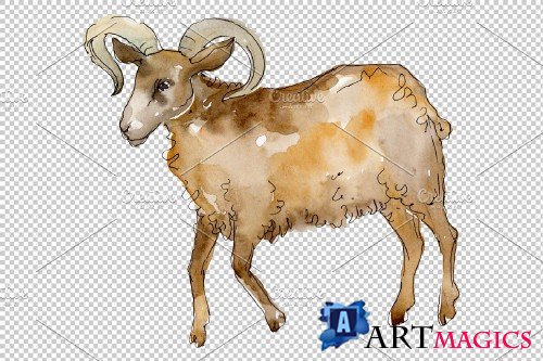 Farm animals: Ram Watercolor png - 3732171