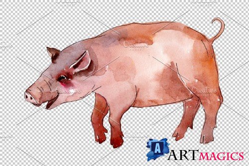 Farm animals: pig (boar) Watercolor - 3733160