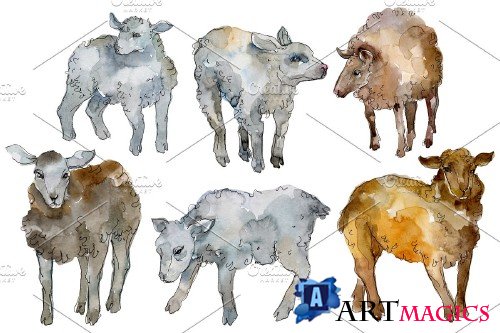 Farm animals: lamb Watercolor png - 3733133