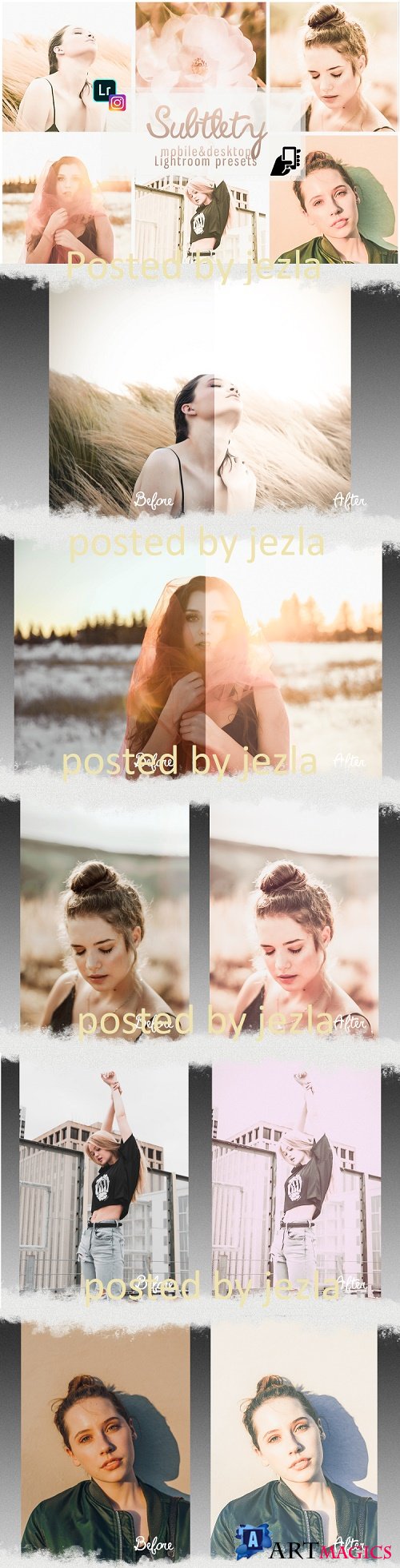 Subtlety presets for mobile and PC photo filter, photo effect - 250729