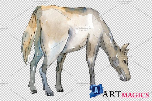 Farm animals:Horse,foal Watercolor - 373221