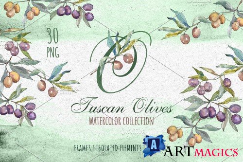 Tuscan Olives green Watercolor png - 3740351