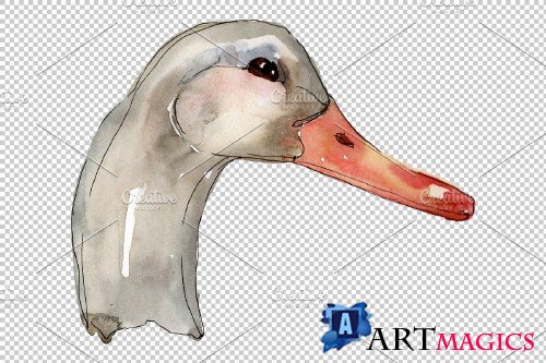 Farm animals: duck head Watercolor - 3742687