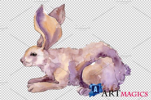 Farm animals: rabbit Watercolor png - 3742247