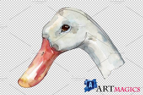 Farm animals: duck head Watercolor - 3742687