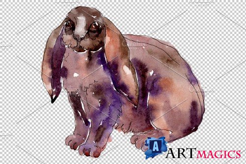 Farm animals: rabbit Watercolor png - 3742247