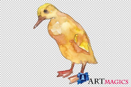 Farm animals: ducklings Watercolor - 3742420
