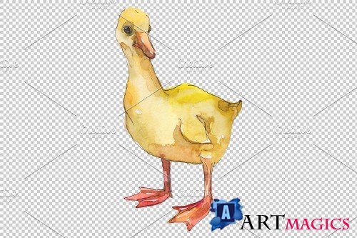 Farm animals: ducklings Watercolor - 3742420