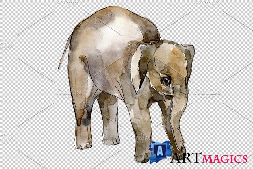 Elephant Watercolor png - 3743682