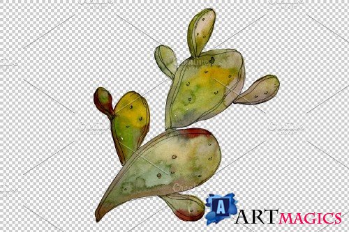 Succulents Watercolor png - 3750371