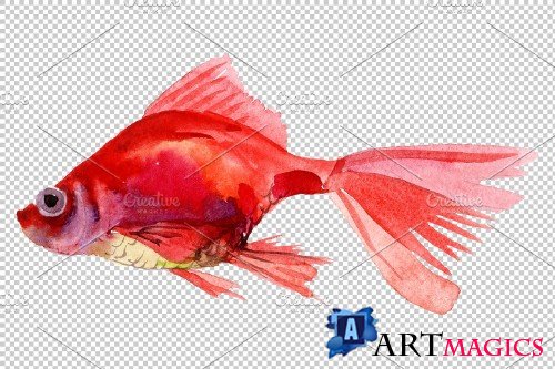 Magic Gold fish Watercolor png - 3746330