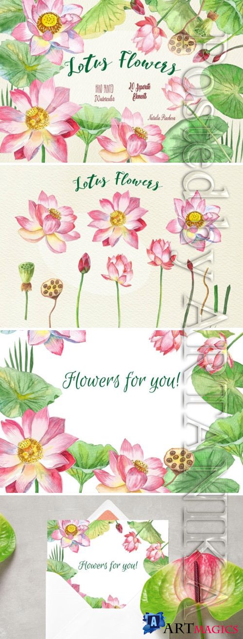 Lotus Flowers Watercolor Clipart