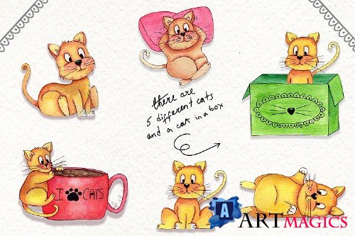 Lazy Cats Wattercolor Illustrations - 255034