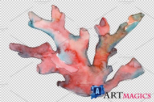 Corals red Watercolor png - 3753501