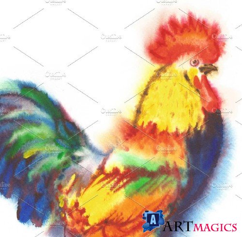 Watercolor Roosters - 1064698