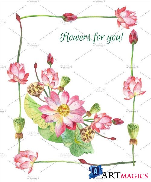 Lotus Flowers. Bouquets and Wreaths - 1036131