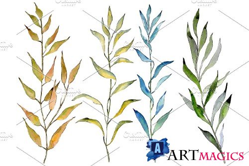 Willow branches PNG watercolor set - 3083099