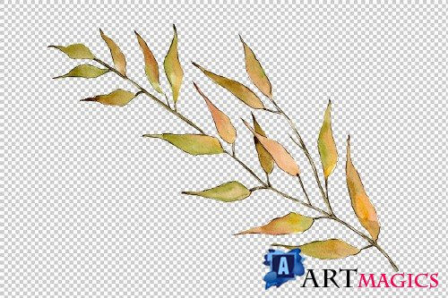Willow branches PNG watercolor set - 3083099