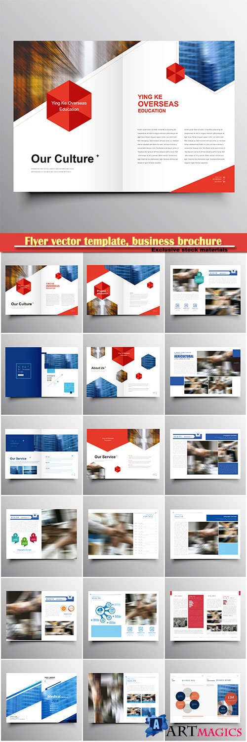 Flyer vector template, business brochure, magazine cover # 43