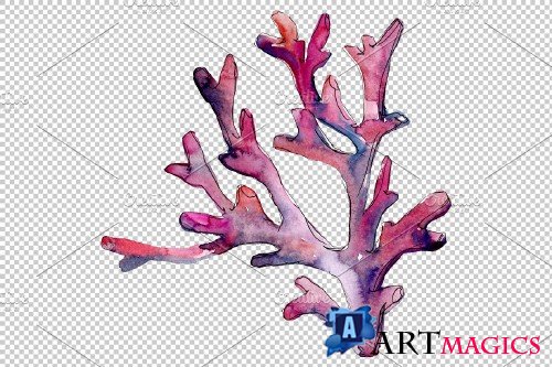 Corals seascape watercolor png - 3789093