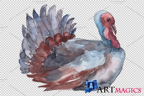 Farm animals: Turkey Watercolor png - 3783960