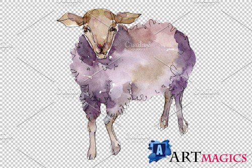 Agriculture:sheep, ram Watercolor png - 3784238