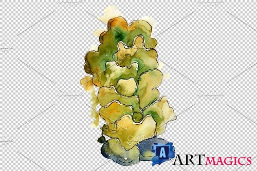 Corals Seafood Watercolor png - 3788981