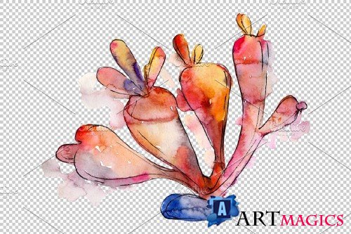 Corals Seafood Watercolor png - 3788981