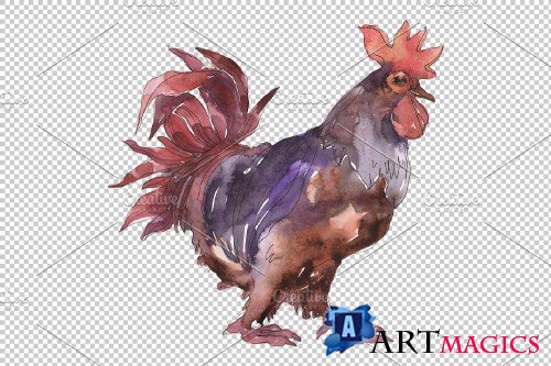 Farm animals: cock Watercolor png - 3784015