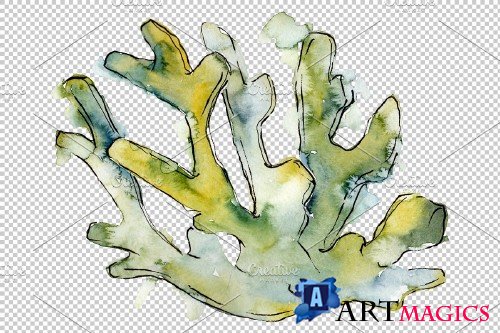 Corals seascape watercolor png - 3789093