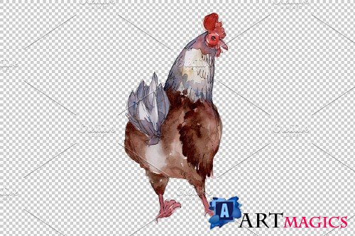 Farm animals:hen Watercolor png - 3785448