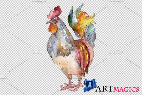 Agriculture: cock, hen Watercolor - 3785383