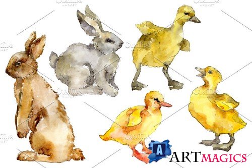 Agriculture: Rabbit, ducklings - 3784383