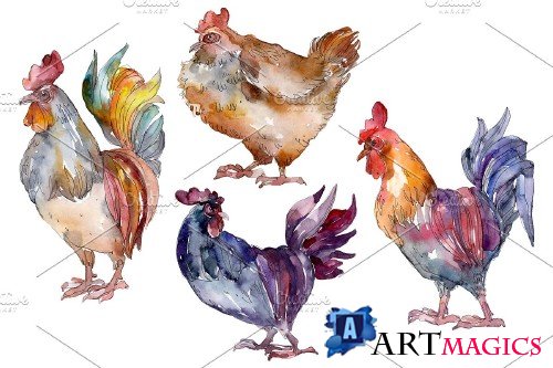 Agriculture: cock, hen Watercolor - 3785383