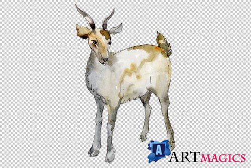 Agriculture: Goat Watercolor Png 260569