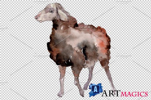 Agriculture:sheep, ram Watercolor png - 3784238