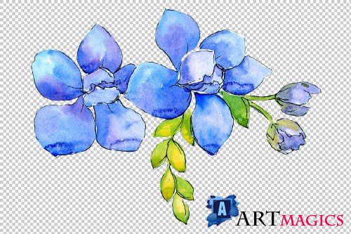 Flower composition PNG watercolor - 3082931