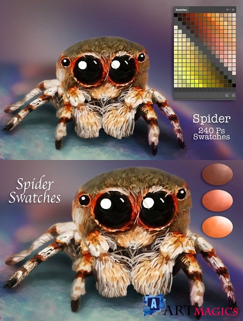 Spider Swatches - 3740909