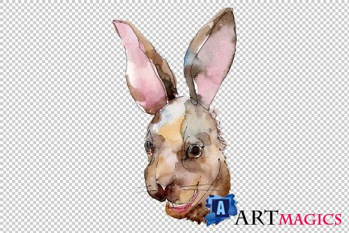 Farm animals: rabbit head Watercolor - 3800488