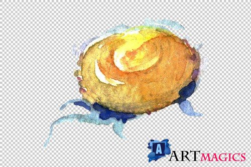 Daisy/chamomile Watercolor png - 3797902