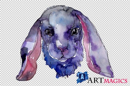Farm animals: rabbit head Watercolor - 3800488