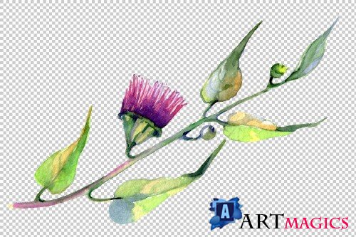 Eucalyptus watercolor plant png - 3798911