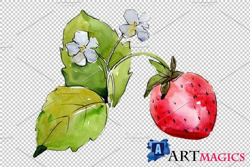 Juicy strawberry watercolor png - 3808571