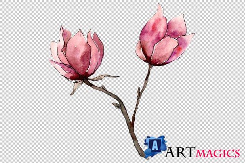 Tender pink magnolia PNG watercolor - 3079263