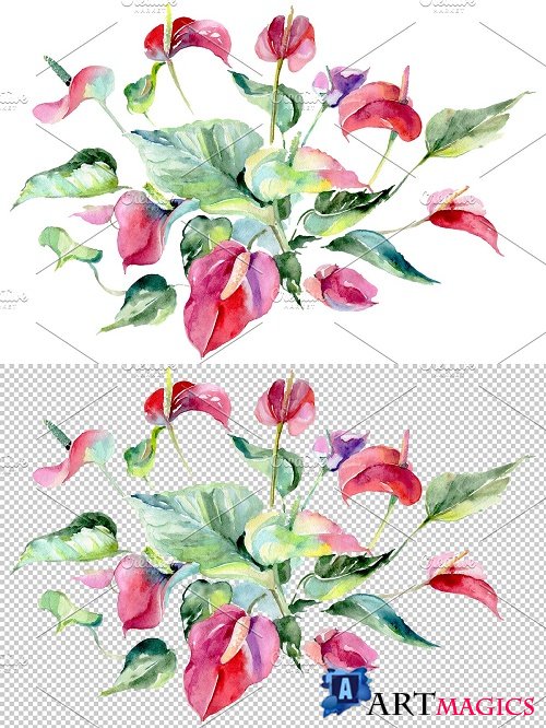 Spathiphyllum red Watercolor png - 3820861