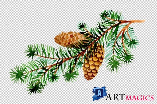 Branches of spruce and pine png set - 3082869