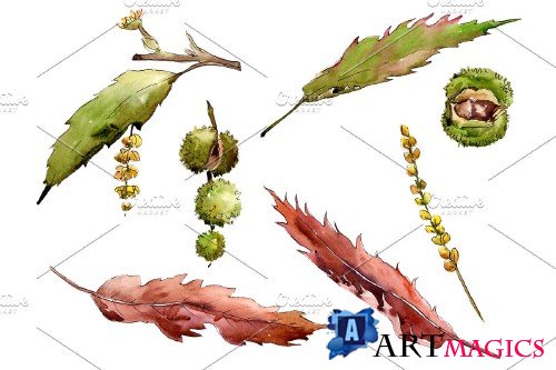 Autumn chestnut PNG watercolor plant - 3095171