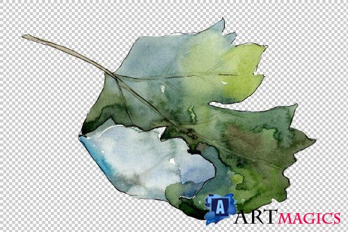 Gooseberry PNG watercolor plant set - 3095230